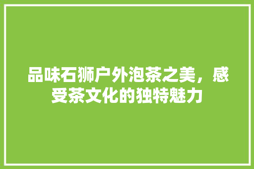 品味石狮户外泡茶之美，感受茶文化的独特魅力