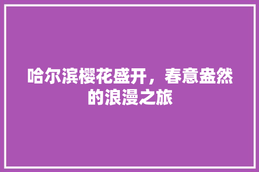 哈尔滨樱花盛开，春意盎然的浪漫之旅