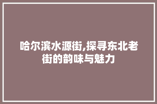 哈尔滨水源街,探寻东北老街的韵味与魅力  第1张