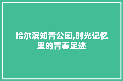 哈尔滨知青公园,时光记忆里的青春足迹