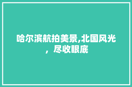 哈尔滨航拍美景,北国风光，尽收眼底