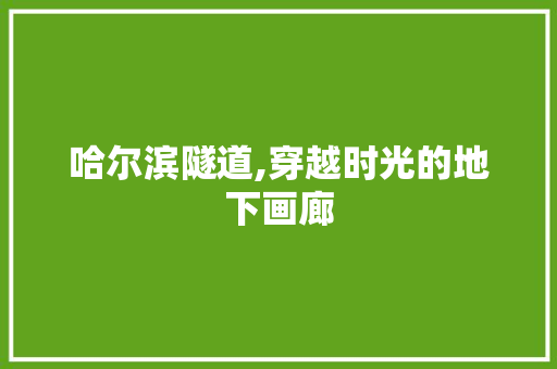 哈尔滨隧道,穿越时光的地下画廊