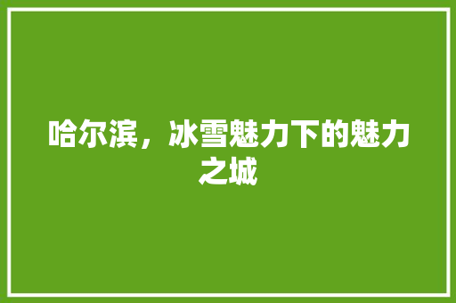 哈尔滨，冰雪魅力下的魅力之城  第1张