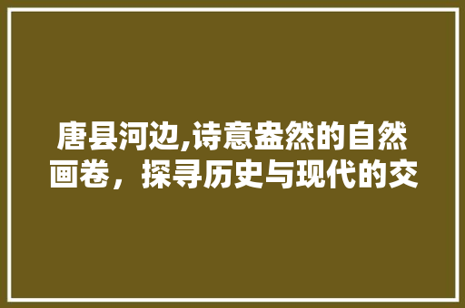 唐县河边,诗意盎然的自然画卷，探寻历史与现代的交融之地