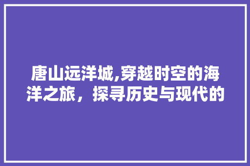 唐山远洋城,穿越时空的海洋之旅，探寻历史与现代的交融之美