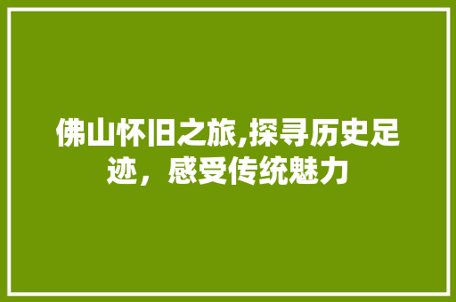 佛山怀旧之旅,探寻历史足迹，感受传统魅力