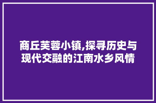 商丘芙蓉小镇,探寻历史与现代交融的江南水乡风情