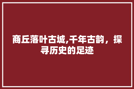 商丘落叶古城,千年古韵，探寻历史的足迹