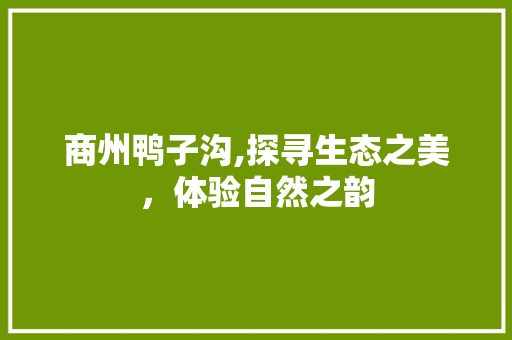 商州鸭子沟,探寻生态之美，体验自然之韵  第1张