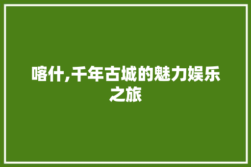 喀什,千年古城的魅力娱乐之旅