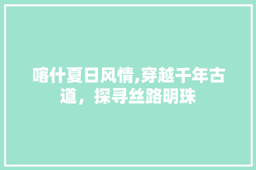 喀什夏日风情,穿越千年古道，探寻丝路明珠  第1张