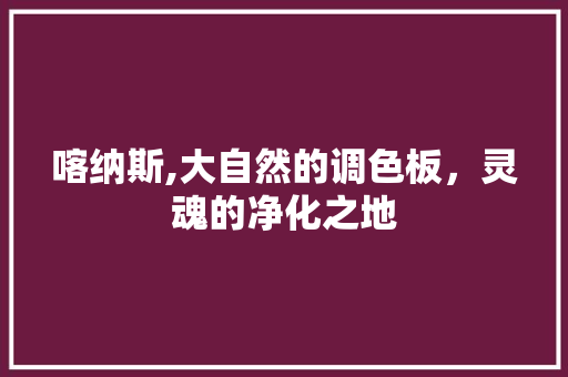 喀纳斯,大自然的调色板，灵魂的净化之地