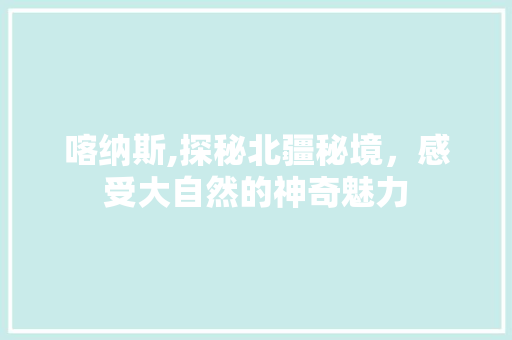 喀纳斯,探秘北疆秘境，感受大自然的神奇魅力