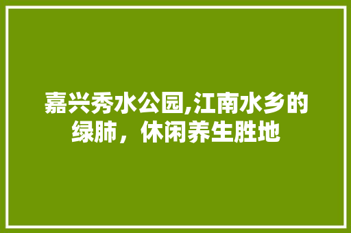 嘉兴秀水公园,江南水乡的绿肺，休闲养生胜地