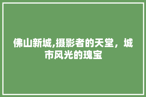 佛山新城,摄影者的天堂，城市风光的瑰宝