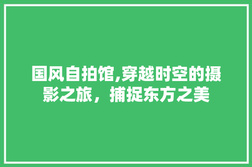 国风自拍馆,穿越时空的摄影之旅，捕捉东方之美