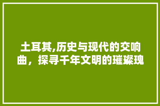 土耳其,历史与现代的交响曲，探寻千年文明的璀璨瑰宝