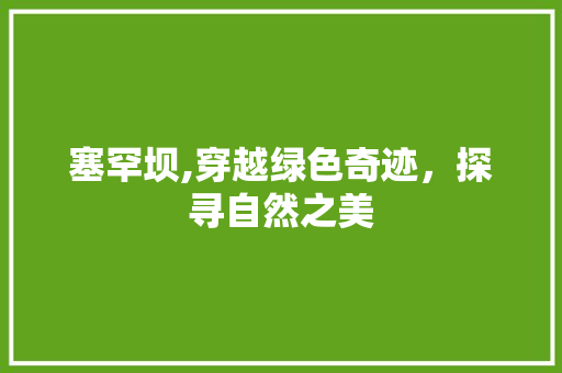 塞罕坝,穿越绿色奇迹，探寻自然之美