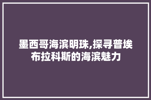 墨西哥海滨明珠,探寻普埃布拉科斯的海滨魅力  第1张