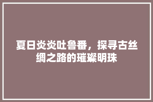 夏日炎炎吐鲁番，探寻古丝绸之路的璀璨明珠