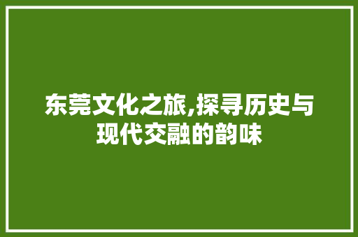 东莞文化之旅,探寻历史与现代交融的韵味