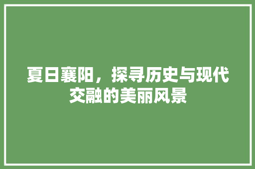 夏日襄阳，探寻历史与现代交融的美丽风景  第1张