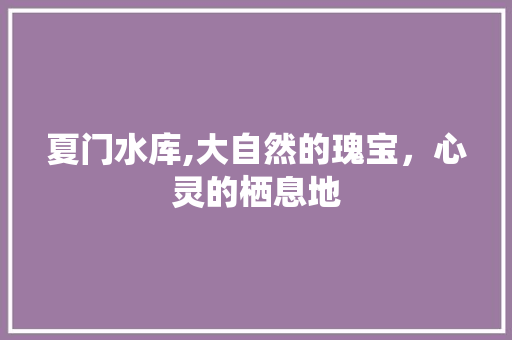 夏门水库,大自然的瑰宝，心灵的栖息地