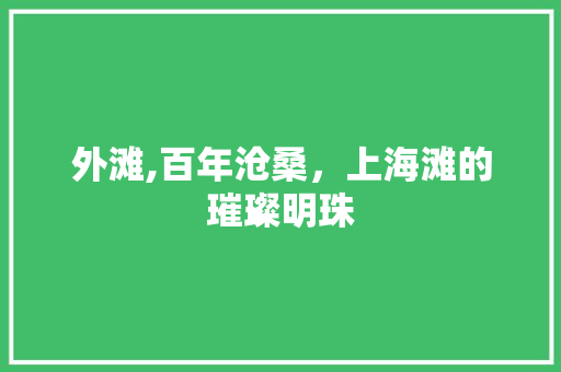 外滩,百年沧桑，上海滩的璀璨明珠