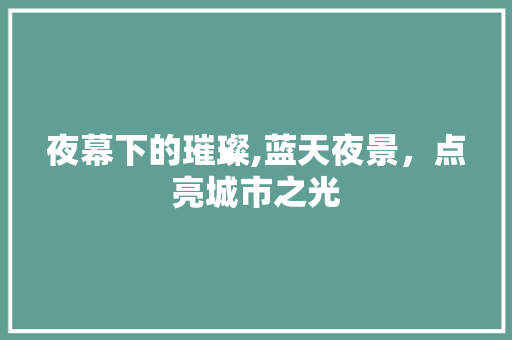 夜幕下的璀璨,蓝天夜景，点亮城市之光