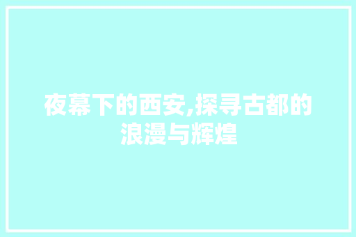 夜幕下的西安,探寻古都的浪漫与辉煌