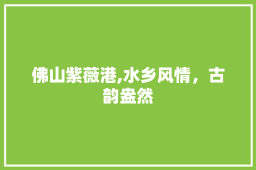 佛山紫薇港,水乡风情，古韵盎然