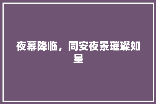 夜幕降临，同安夜景璀璨如星