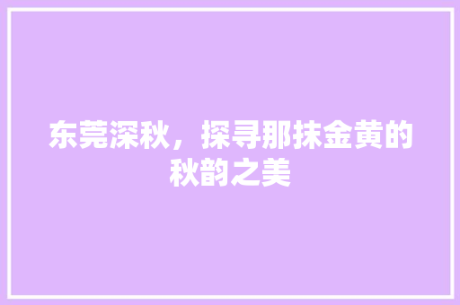 东莞深秋，探寻那抹金黄的秋韵之美