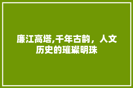 廉江高塔,千年古韵，人文历史的璀璨明珠