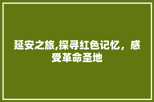 延安之旅,探寻红色记忆，感受革命圣地