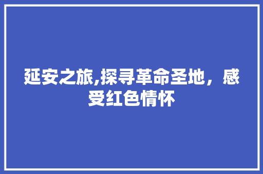 延安之旅,探寻革命圣地，感受红色情怀