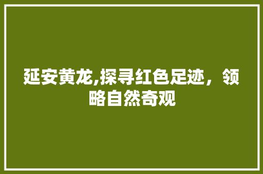 延安黄龙,探寻红色足迹，领略自然奇观