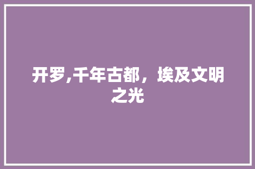 开罗,千年古都，埃及文明之光  第1张