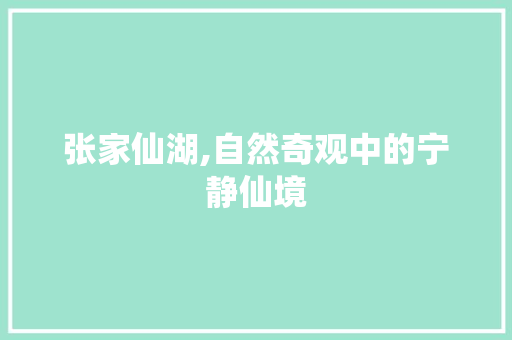 张家仙湖,自然奇观中的宁静仙境