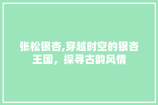 张松银杏,穿越时空的银杏王国，探寻古韵风情