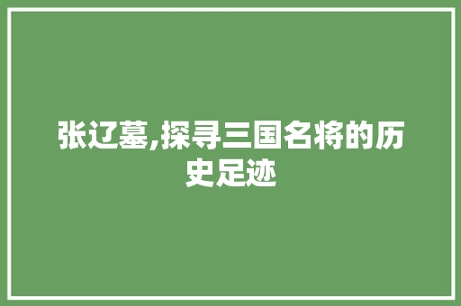 张辽墓,探寻三国名将的历史足迹