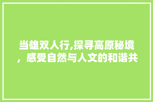 当雄双人行,探寻高原秘境，感受自然与人文的和谐共鸣