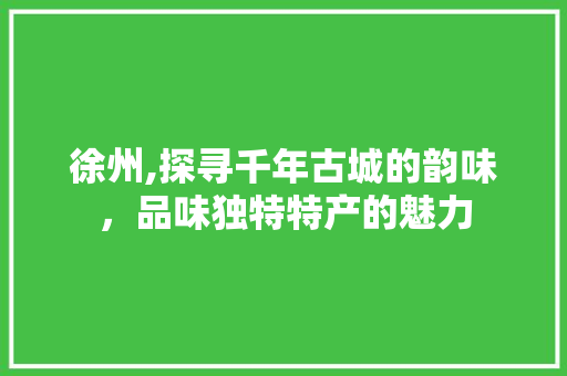 徐州,探寻千年古城的韵味，品味独特特产的魅力