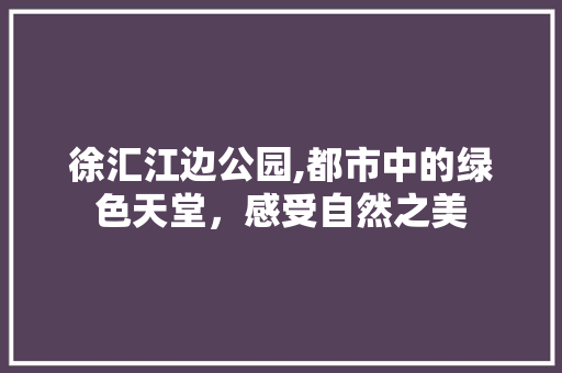 徐汇江边公园,都市中的绿色天堂，感受自然之美  第1张