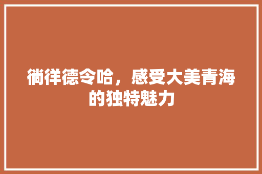 徜徉德令哈，感受大美青海的独特魅力