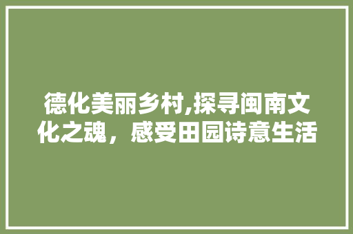 德化美丽乡村,探寻闽南文化之魂，感受田园诗意生活