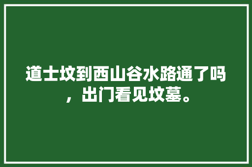 道士坟到西山谷水路通了吗，出门看见坟墓。