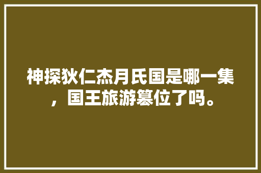 神探狄仁杰月氏国是哪一集，国王旅游篡位了吗。  第1张