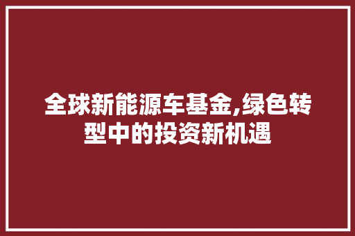 全球新能源车基金,绿色转型中的投资新机遇