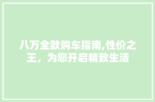 八万全款购车指南,性价之王，为您开启精致生活